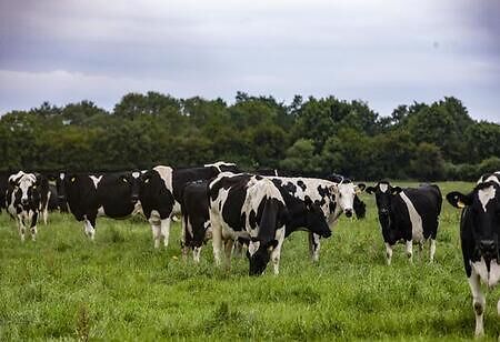 Dairy Farming is Gaining Momentum in Karnataka