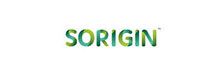 Sorigin Group