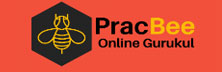 PracBee