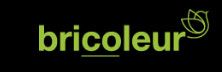 Bricoleur Consulting Singapore