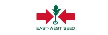 East West Seed