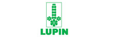 Lupin