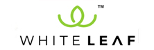 WHITELEAF: Enhancing Indoor Air Quality through Activated Charcoal Based Purifiers