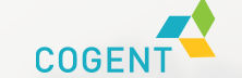 Cogent E Services