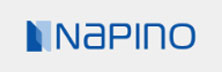 Napino Auto & Electronics Ltd 