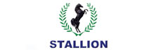 Stallion Group