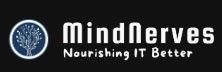MindNerves Technology Services 