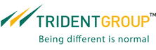 Trident Group: Nurturing the Entrepreneurial Culture