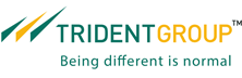 Trident Group