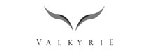 Valkyrie Management LLP