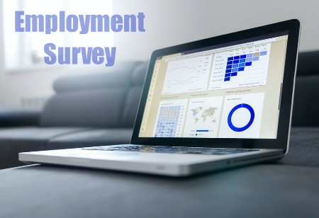 Government to Launch the Quarterly Employment Survey From March 2021
