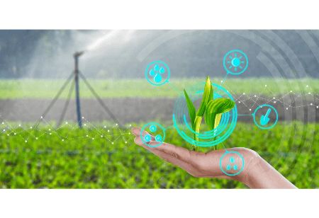 BigHaat Muscles Up its Tech Stack to Provide Real Time Crop Care for Farmers BigHaat Muscles Up its Tech Stack to Provide Real Time Crop Care for Farmers