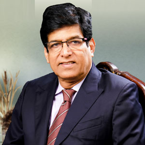 Natrajan Ramakrishna, Independent Director,  Vastu Housing Finance Corporation