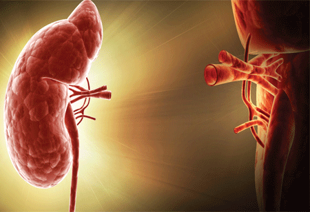 Kidney Transplant Scenario in India Kidney Transplant Scenario in India