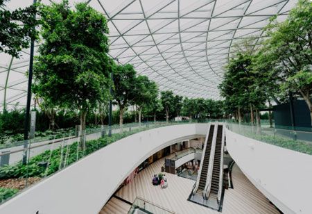 Plant Heads: Building India While Safeguarding Floors & Mastering Efficiency