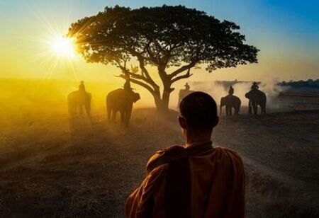 AMCEN: Newer Initiatives to Bolster Africa's Environmental Leadership