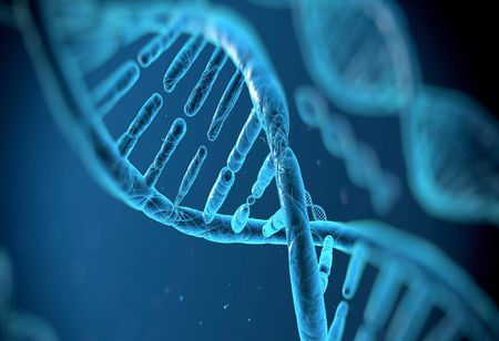 ATAI Life Sciences and Cyclica Launch Joint Venture to Revolutionize Drug Development for Mental Health Disorders ATAI Life Sciences and Cyclica Launch Joint Venture to Revolutionize Drug Development for Mental Health Disorders