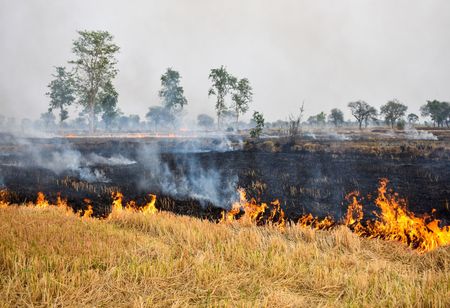 TATA Projects Receives Multiple Mega Bio Ethanol Projects Aimed At Reducing Agri-Waste Burning TATA Projects Receives Multiple Mega Bio Ethanol Projects Aimed At Reducing Agri-Waste Burning