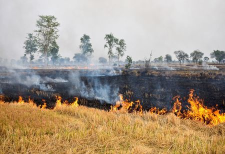 TATA Projects Receives Multiple Mega Bio Ethanol Projects Aimed At Reducing Agri-Waste Burning