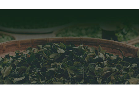 Asian Tea & Exports Acquires 100 Percent Of Herbby Tea Plantations